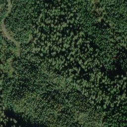 Satellite imagery of Austin Ridge, US