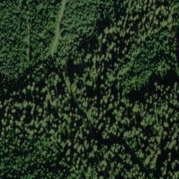 Satellite imagery of Austin Ridge, US