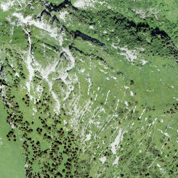 Satellite imagery of Berneuse, CH