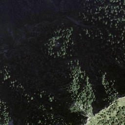 Satellite imagery of Forcarella, CH
