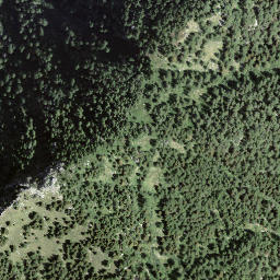 Satellite imagery of Forcarella, CH
