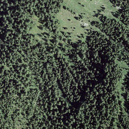 Satellite imagery of I Corn de Golin, CH