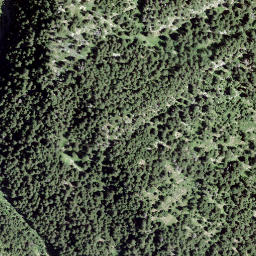 Satellite imagery of Piz del Palo, CH