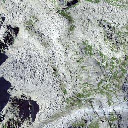 Satellite imagery of Piz Bregaglia, CH