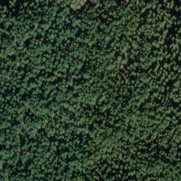 Satellite imagery of Austin Ridge, US