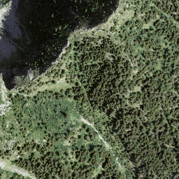 Satellite imagery of Forcarella, CH