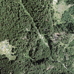 Satellite imagery of Forcarella, CH