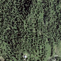 Satellite imagery of Buffalora, Pass de, CH