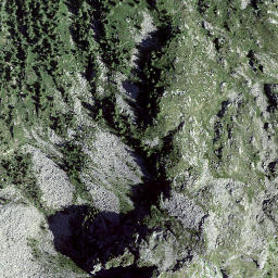 Satellite imagery of Fil de Calvaresc, CH