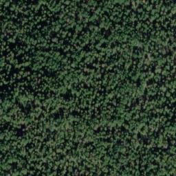Satellite imagery of Chamook Ridge, US