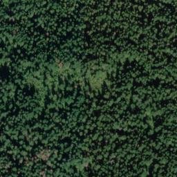 Satellite imagery of Austin Ridge, US