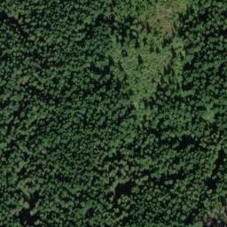 Satellite imagery of Austin Ridge, US