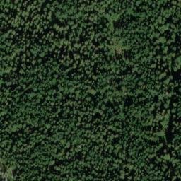 Satellite imagery of Austin Ridge, US