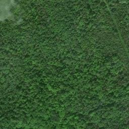 Satellite imagery of TS 45 — NGS RJ0946 — Sugar Island Township, US, US