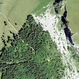 Satellite imagery of Alamon, CH