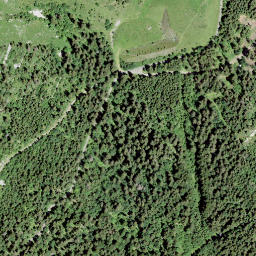 Satellite imagery of La Riondaz, CH