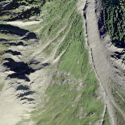 Satellite imagery of Ronegrat, CH