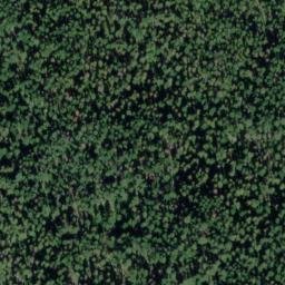 Satellite imagery of Chamook Ridge, US