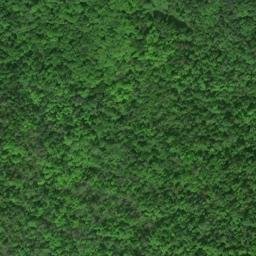 Satellite imagery of TS 45 — NGS RJ0946 — Sugar Island Township, US, US