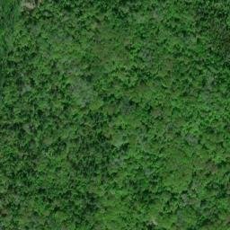 Satellite imagery of REF MON 20 IBC ECC 1944 — NGS RJ0907 — Laird Township, US, US