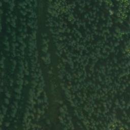 Satellite imagery of Piz de Cogol, CH