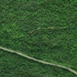 Satellite imagery of TS 45 — NGS RJ0946 — Sugar Island Township, US, US