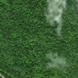 Satellite imagery of 238 — NGS RJ0212 — Sugar Island Township, US, US