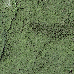 Satellite imagery of Le Tâche, CH