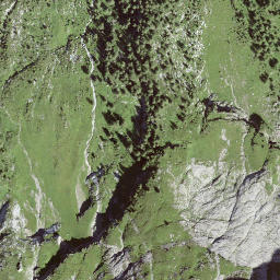 Satellite imagery of Tête aux Chamois, CH