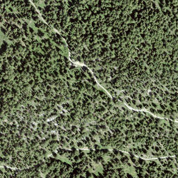 Satellite imagery of Planitschat, CH