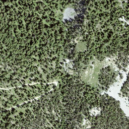 Satellite imagery of Planitschat, CH