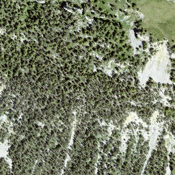 Satellite imagery of Planitschat, CH