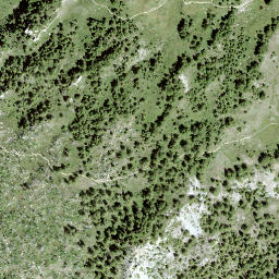 Satellite imagery of Obere Guggerhubel, CH