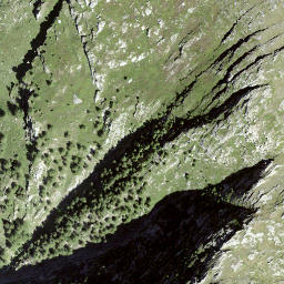 Satellite imagery of Birgischgrat, CH