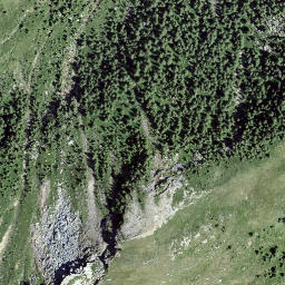 Satellite imagery of Pizzet, CH