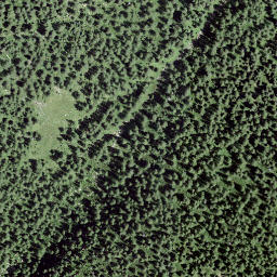 Satellite imagery of Pizzet, CH