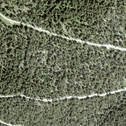 Satellite imagery of Planitschat, CH