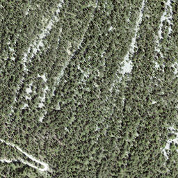 Satellite imagery of Planitschat, CH