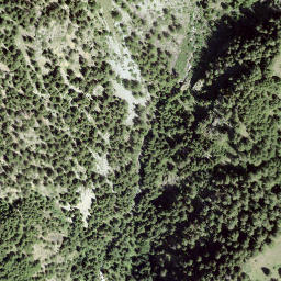 Satellite imagery of Tschuggmatten, CH