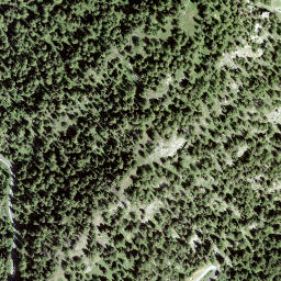 Satellite imagery of Chammre, CH
