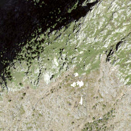 Satellite imagery of Birgischgrat, CH