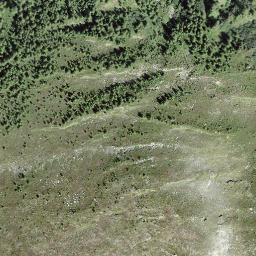 Satellite imagery of Meiggerhorn, CH