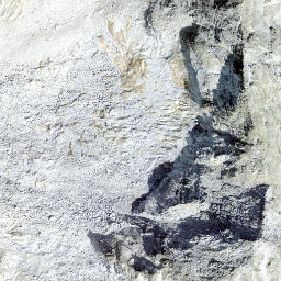 Satellite imagery of Piz Bacun, CH