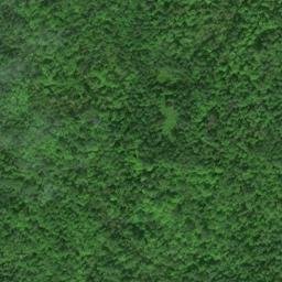 Satellite imagery of 238 — NGS RJ0212 — Sugar Island Township, US, US
