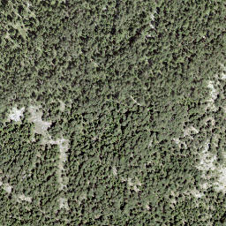 Satellite imagery of Planitschat, CH