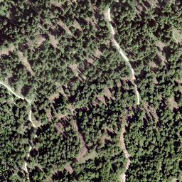 Satellite imagery of Tschuggmatten, CH