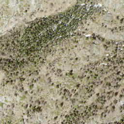 Satellite imagery of Birgischgrat, CH