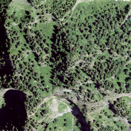 Satellite imagery of Pizzet, CH