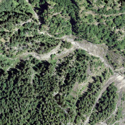 Satellite imagery of Motta de Riveu, CH