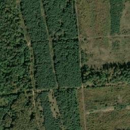 Satellite imagery of 227, IT
